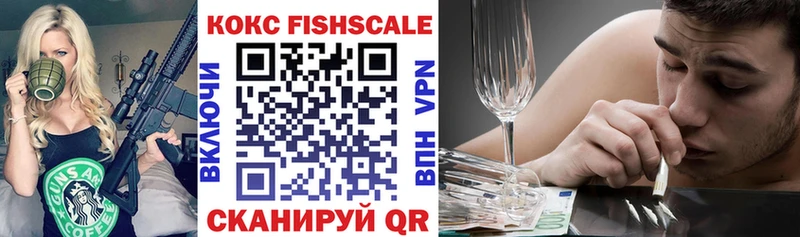 купить закладку  Мышкин  COCAIN Fish Scale 