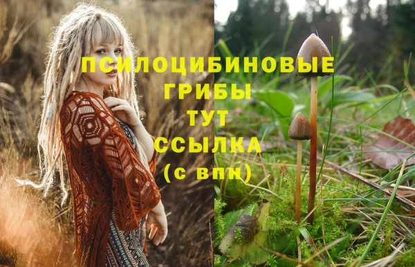 ECSTASY Мегион