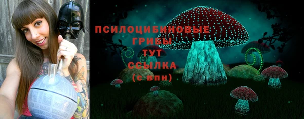 соль ск Березники