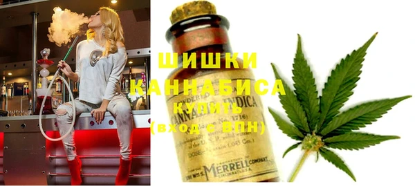 spice Медвежьегорск